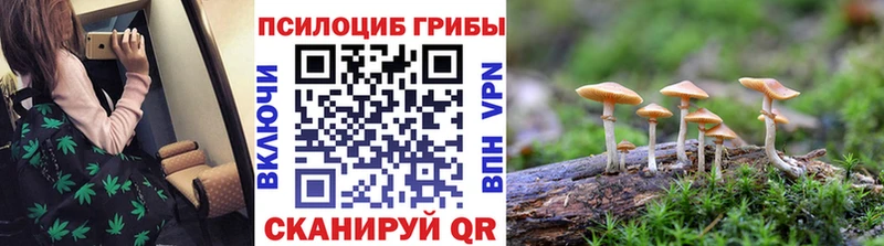 Галлюциногенные грибы Magic Shrooms  цены наркотик  Киров 