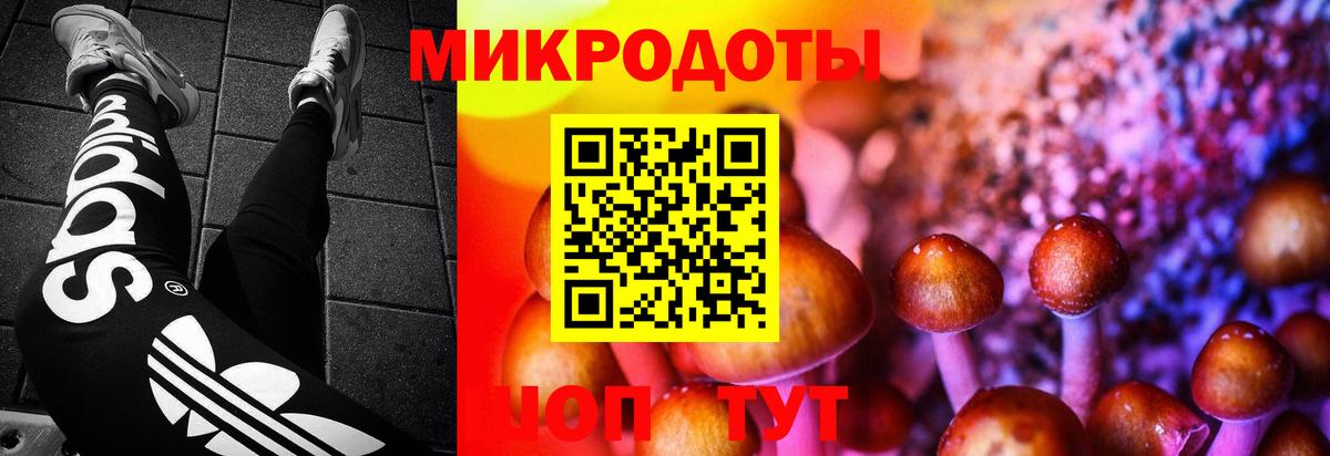 Галлюциногенные грибы Psilocybine cubensis  Галлюциногенные грибы Psilocybe  Киров  Вход с VPN 